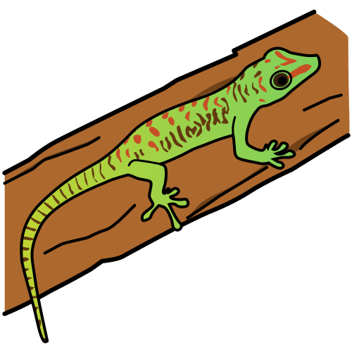 Pictograma de gecko de Madagascar para niños con TEA