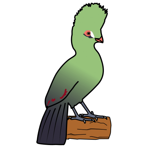 Pictograma de turaco para niños con TEA