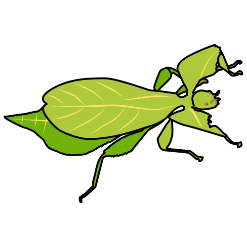 Pictograma de insecto hoja para niños con autismo y TEA