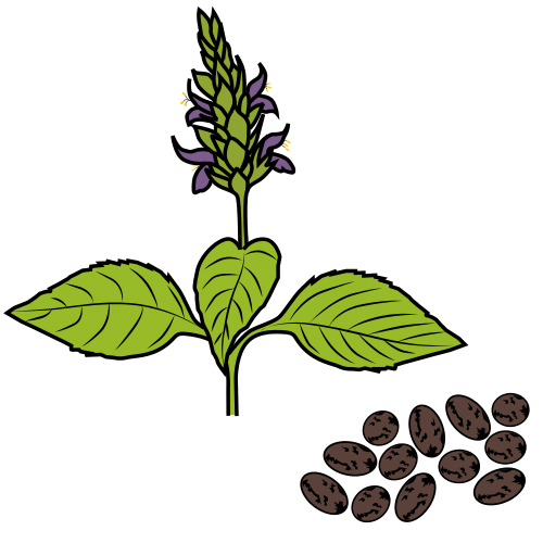 Pictograma de chía para niños con TEA