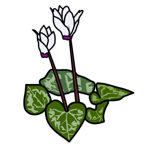 Pictograma de cyclamen para niños con autismo y TEA