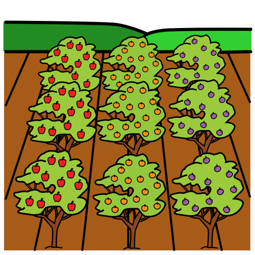 Pictograma de campo de frutales para niños con autismo y TEA
