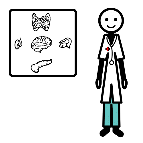 Pictograma de endocrinólogo para niños con autismo y TEA