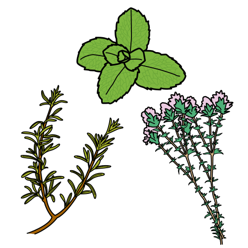 Pictograma de plantas aromáticas para niños con autismo y TEA