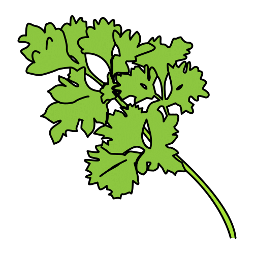 Pictograma de cilantro para niños con TEA