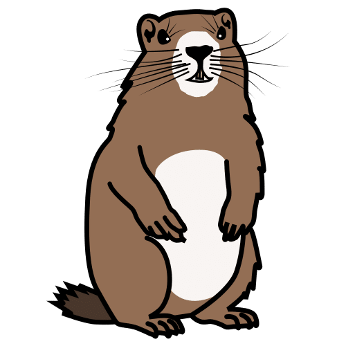 Pictograma de marmota para niños con autismo y TEA