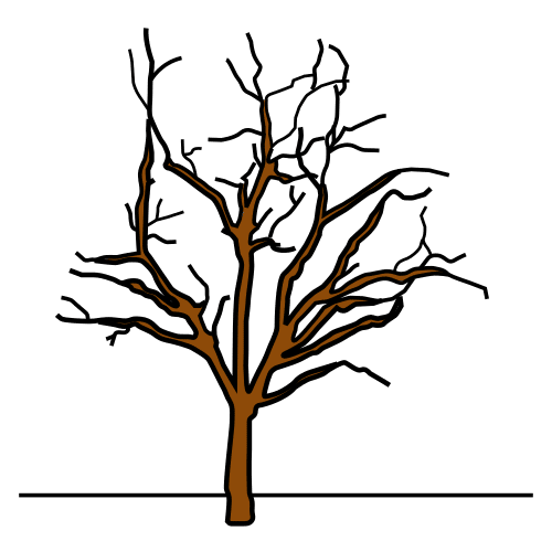 Pictograma de árbol de invierno para niños con autismo y TEA