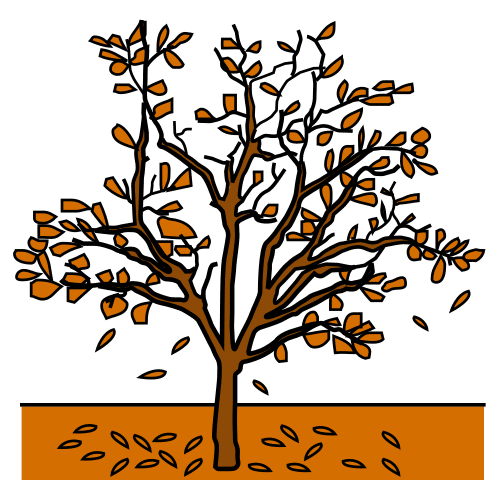 Pictograma de árbol de otoño para niños con autismo y TEA