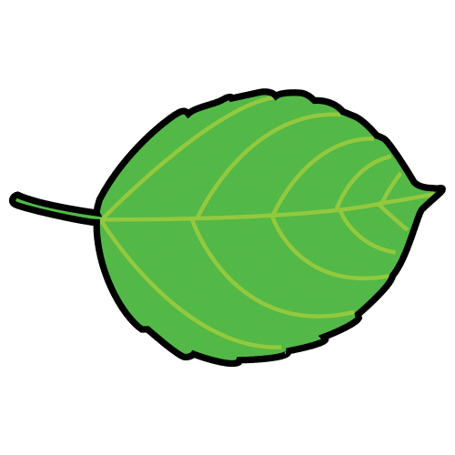 Pictograma de hoja para niños con TEA