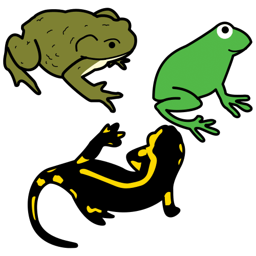 Pictograma de anfibios para niños con TEA