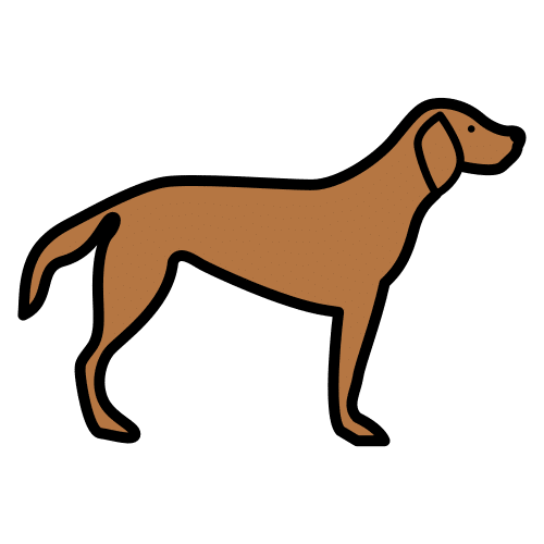 Pictograma de perro para niños con TEA