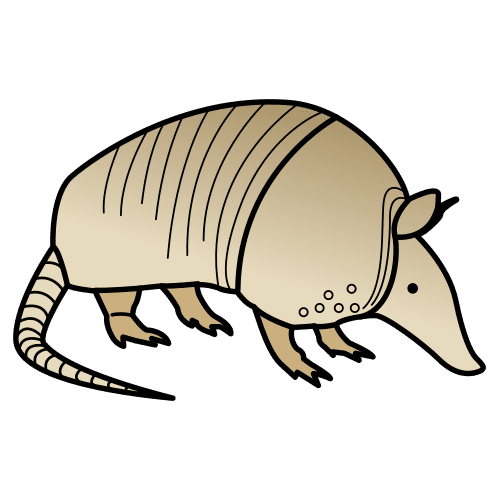 Pictograma de armadillo para niños con TEA