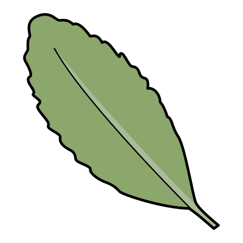 Pictograma de laurel para niños con TEA