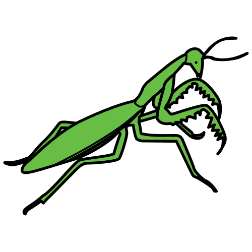 Pictograma de mantis para niños con TEA