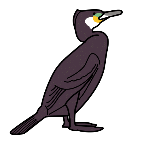 Pictograma de cormorán para niños con TEA
