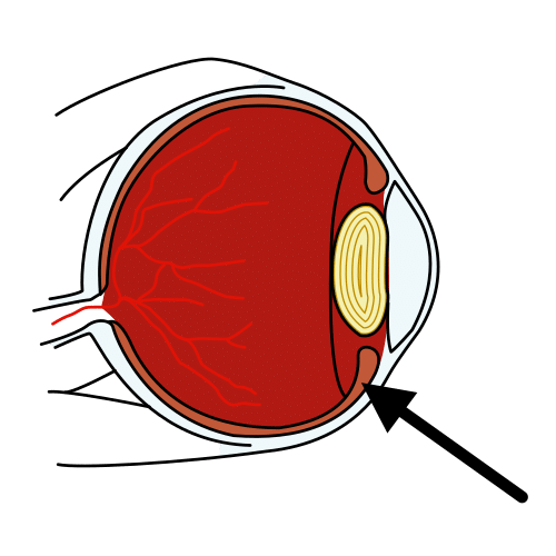 Pictograma de retina para niños con TEA